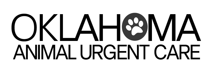 Oklahoma Animal Urgent Care logo