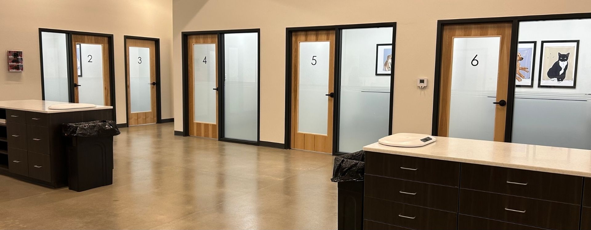 Oklahoma Animal Urgent Care Exam area