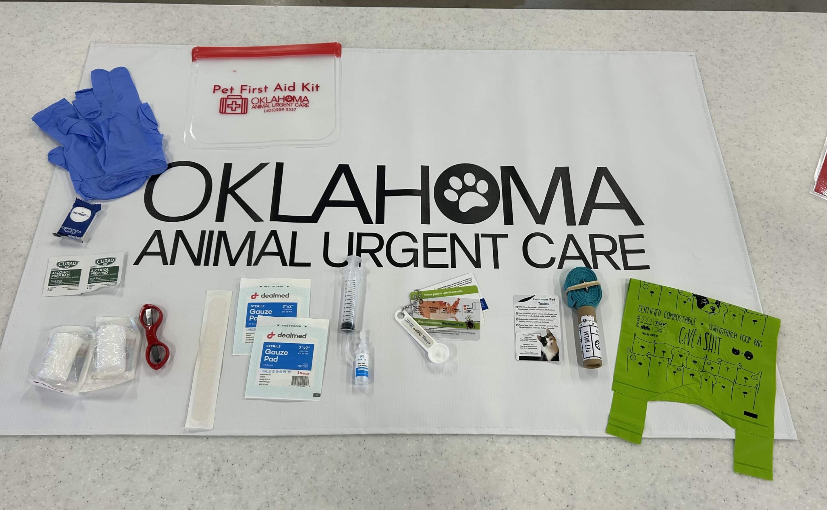 Pet first aid kit essentials for dogs and cats including gauze, saline, gloves, bandages, and emergency care supplies laid out for easy access