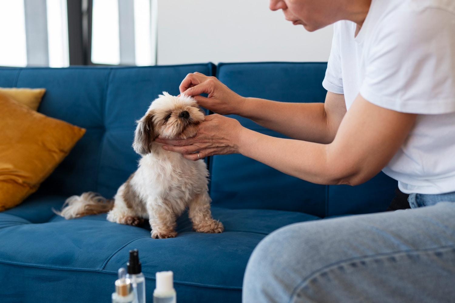 women cleaning ear dog