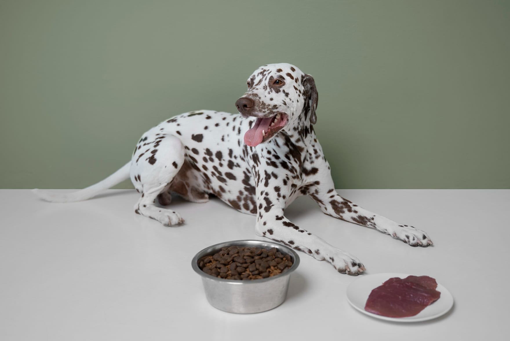 dog lying on a near a bowl of dry food